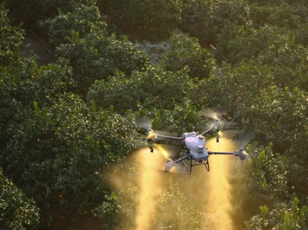 Targeted Weed Spraying